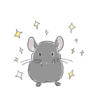 チンチラ ゆるかわ手描きタッチのスタンプ（個別スタンプ：10）