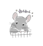 チンチラ ゆるかわ手描きタッチのスタンプ（個別スタンプ：25）