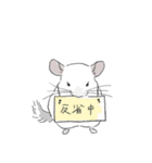 チンチラ ゆるかわ手描きタッチのスタンプ（個別スタンプ：28）
