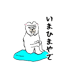 けつあご白くまのビリーさんスタンプ（個別スタンプ：3）
