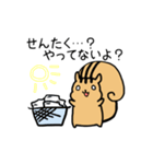 専業もろりす（個別スタンプ：3）