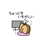 専業もろりす（個別スタンプ：6）