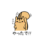 専業もろりす（個別スタンプ：17）