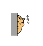 専業もろりす（個別スタンプ：20）