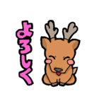 エゾシカスタンプ（個別スタンプ：1）