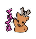 エゾシカスタンプ（個別スタンプ：18）