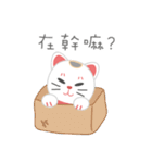 ラッキーキャット日記（個別スタンプ：2）