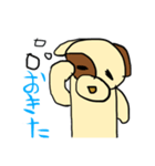 犬のわんたぬすと愉快な仲間たち <きほん>（個別スタンプ：13）