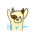 犬のわんたぬすと愉快な仲間たち <きほん>（個別スタンプ：26）