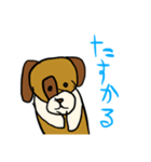 犬のわんたぬすと愉快な仲間たち <きほん>（個別スタンプ：32）