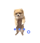 てるやまきなこ（個別スタンプ：1）