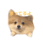 てるやまきなこ（個別スタンプ：2）