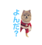 てるやまきなこ（個別スタンプ：3）