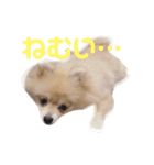 てるやまきなこ（個別スタンプ：5）
