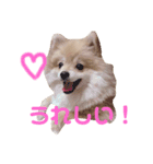 てるやまきなこ（個別スタンプ：6）