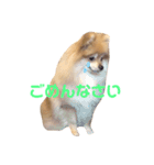 てるやまきなこ（個別スタンプ：7）