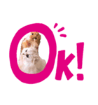 こなつちゃんとかりんちゃん（個別スタンプ：1）