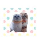 こなつちゃんとかりんちゃん（個別スタンプ：3）