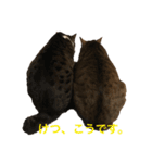 うちのわがままねこ（個別スタンプ：4）