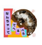 桃日々のいろいろな表情（個別スタンプ：2）