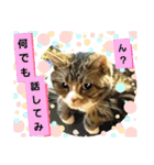 桃日々のいろいろな表情（個別スタンプ：6）