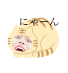 ごんざれすたんぷ2（個別スタンプ：8）