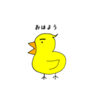 ピヨ志（個別スタンプ：2）