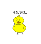ピヨ志（個別スタンプ：4）