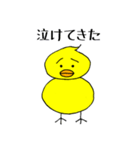 ピヨ志（個別スタンプ：5）