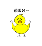 ピヨ志（個別スタンプ：6）