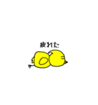 ピヨ志（個別スタンプ：15）