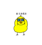 ピヨ志（個別スタンプ：24）