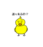 ピヨ志（個別スタンプ：39）