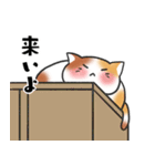 ぽっちゃり猫のころり2（個別スタンプ：13）