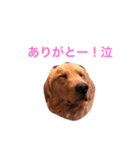 チーム津田沼（個別スタンプ：7）