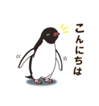 気さくなペンギン（個別スタンプ：3）