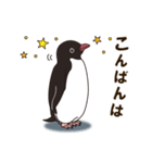 気さくなペンギン（個別スタンプ：4）