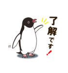 気さくなペンギン（個別スタンプ：6）