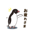 気さくなペンギン（個別スタンプ：10）