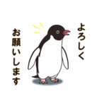 気さくなペンギン（個別スタンプ：11）