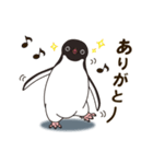 気さくなペンギン（個別スタンプ：13）