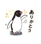 気さくなペンギン（個別スタンプ：14）