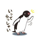 気さくなペンギン（個別スタンプ：18）