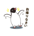 気さくなペンギン（個別スタンプ：20）