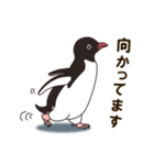 気さくなペンギン（個別スタンプ：23）