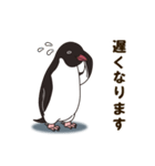 気さくなペンギン（個別スタンプ：24）