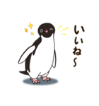 気さくなペンギン（個別スタンプ：28）