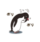 気さくなペンギン（個別スタンプ：36）