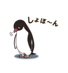 気さくなペンギン（個別スタンプ：38）