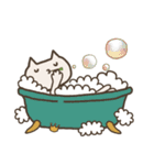 ねこの王様 日常（個別スタンプ：20）